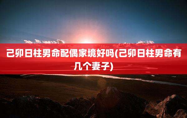 己卯日柱男命配偶家境好吗(己卯日柱男命有几个妻子)