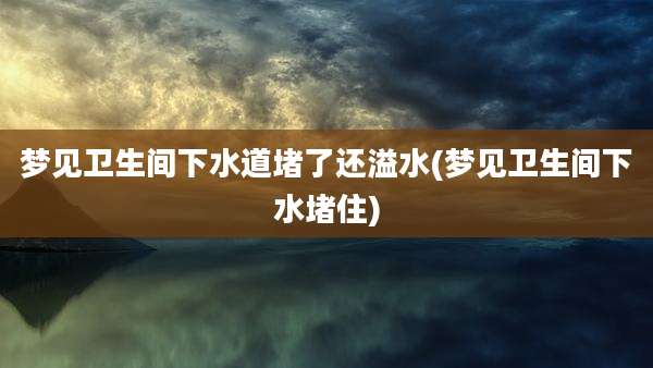 梦见卫生间下水道堵了还溢水(梦见卫生间下水堵住)
