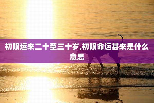 初限运来二十至三十岁,初限命运甚来是什么意思