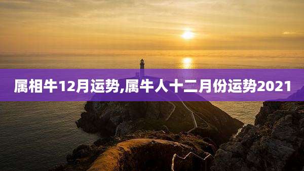 属相牛12月运势,属牛人十二月份运势2021