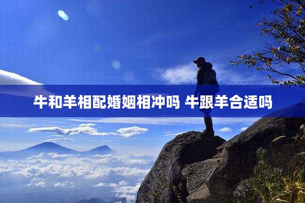 牛和羊相配婚姻相冲吗 牛跟羊合适吗