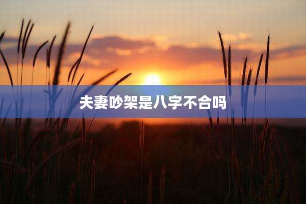 夫妻吵架是八字不合吗