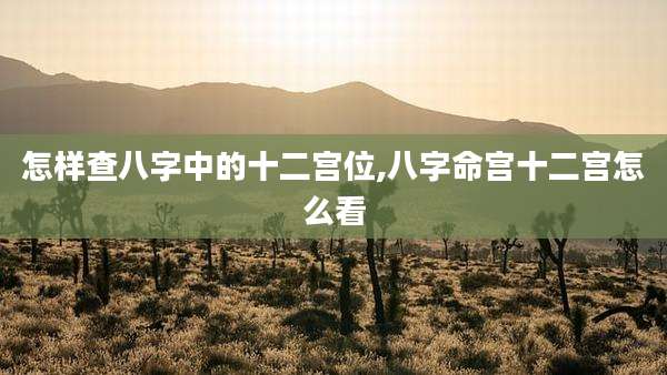 怎样查八字中的十二宫位,八字命宫十二宫怎么看
