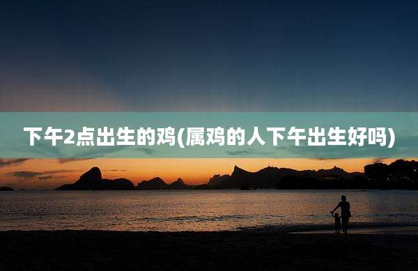 下午2点出生的鸡(属鸡的人下午出生好吗)