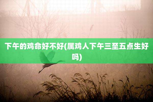 下午的鸡命好不好(属鸡人下午三至五点生好吗)
