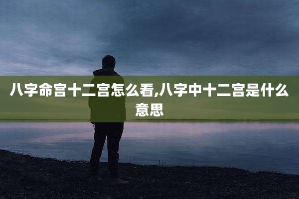 八字命宫十二宫怎么看,八字中十二宫是什么意思