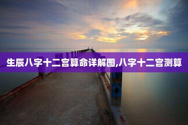 生辰八字十二宫算命详解图,八字十二宫测算