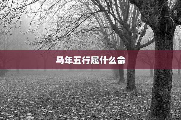 马年五行属什么命