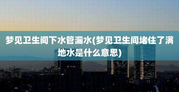 梦见卫生间下水管漏水(梦见卫生间堵住了满地水是什么意思)