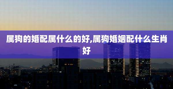 属狗的婚配属什么的好,属狗婚姻配什么生肖好