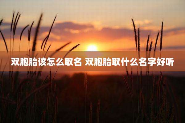 双胞胎该怎么取名 双胞胎取什么名字好听