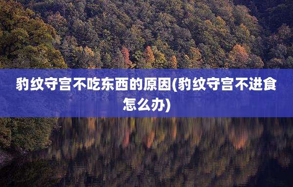 豹纹守宫不吃东西的原因(豹纹守宫不进食怎么办)