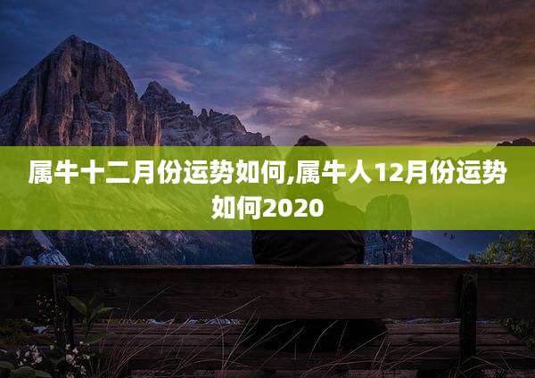 属牛十二月份运势如何,属牛人12月份运势如何2020