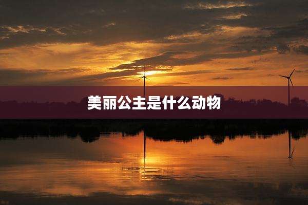 美丽公主是什么动物