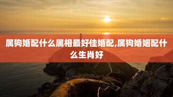 属狗婚配什么属相最好佳婚配,属狗婚姻配什么生肖好