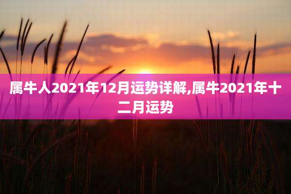 属牛人2021年12月运势详解,属牛2021年十二月运势