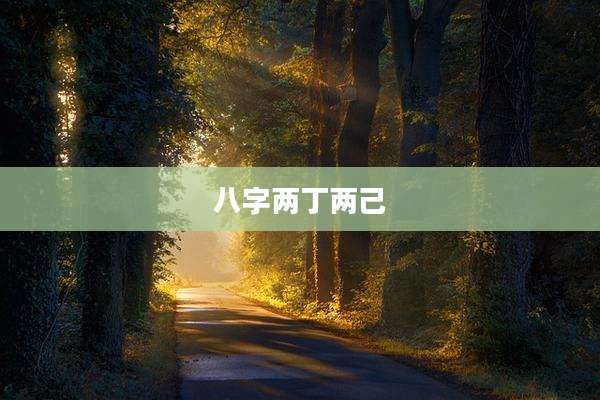 八字两丁两己
