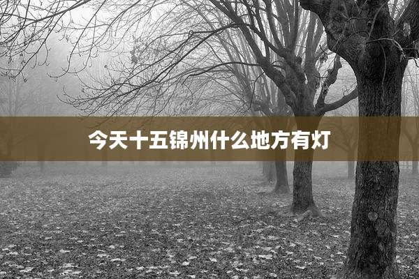 今天十五锦州什么地方有灯