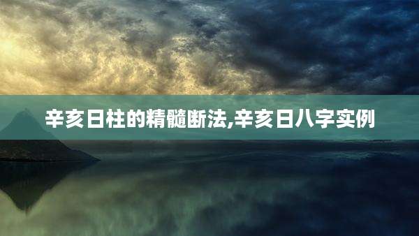辛亥日柱的精髓断法,辛亥日八字实例