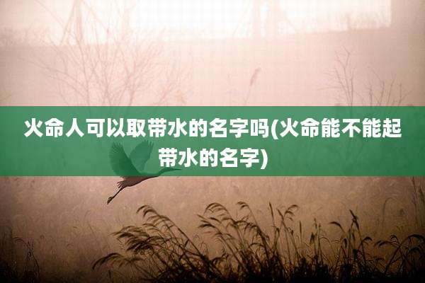 火命人可以取带水的名字吗(火命能不能起带水的名字)