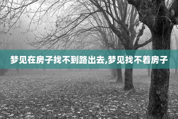 梦见在房子找不到路出去,梦见找不着房子