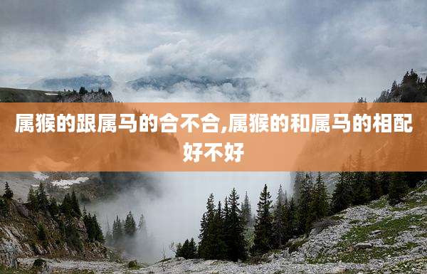 属猴的跟属马的合不合,属猴的和属马的相配好不好