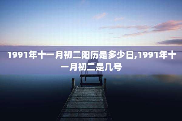 1991年十一月初二阳历是多少日,1991年十一月初二是几号