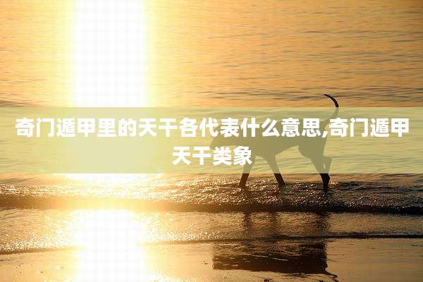 奇门遁甲里的天干各代表什么意思,奇门遁甲天干类象