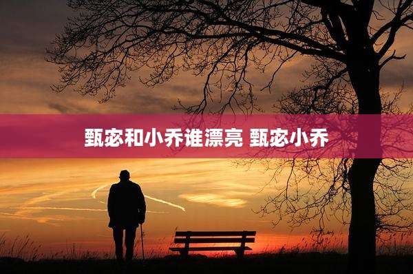 甄宓和小乔谁漂亮 甄宓小乔
