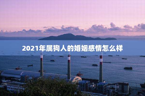 2021年属狗人的婚姻感情怎么样