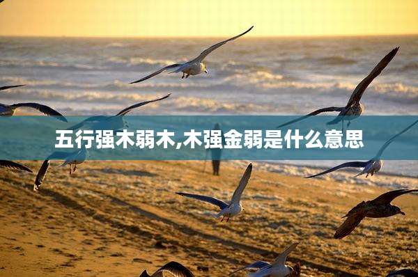 五行强木弱木,木强金弱是什么意思