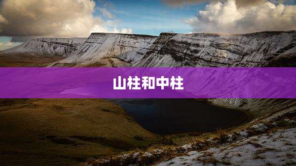 山柱和中柱