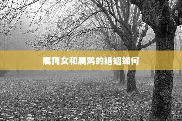 属狗女和属鸡的婚姻如何