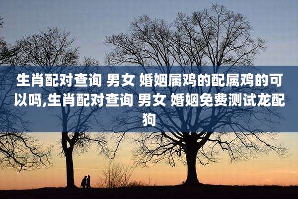 生肖配对查询 男女 婚姻属鸡的配属鸡的可以吗,生肖配对查询 男女 婚姻免费测试龙配狗