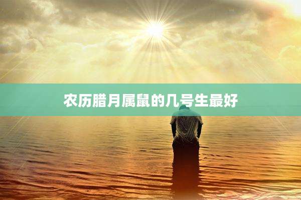 农历腊月属鼠的几号生最好