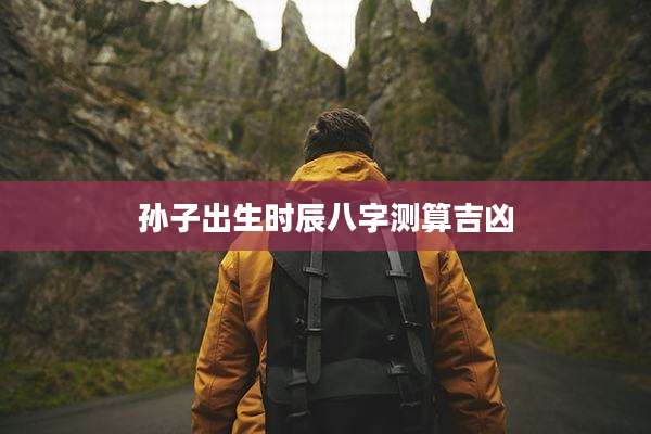 孙子出生时辰八字测算吉凶