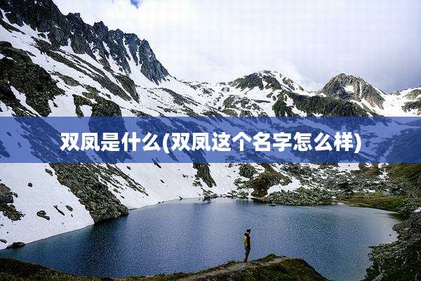 双凤是什么(双凤这个名字怎么样)