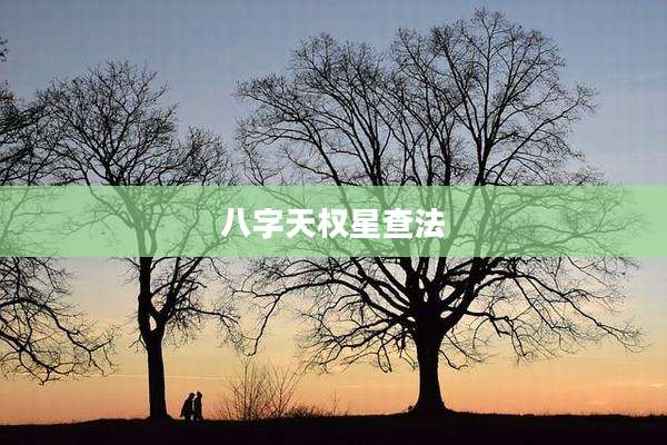 八字天权星查法