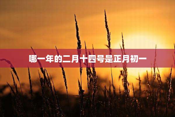 哪一年的二月十四号是正月初一