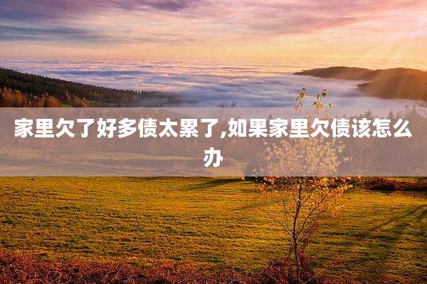家里欠了好多债太累了,如果家里欠债该怎么办