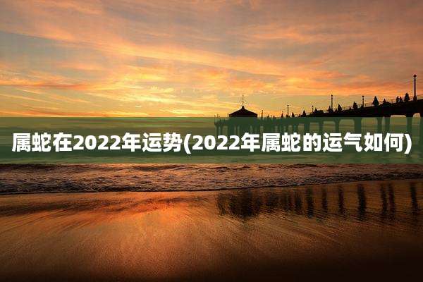 属蛇在2022年运势(2022年属蛇的运气如何)
