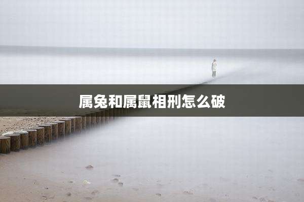 属兔和属鼠相刑怎么破