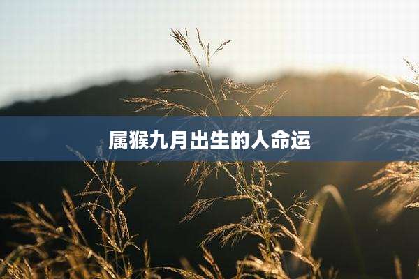 属猴九月出生的人命运
