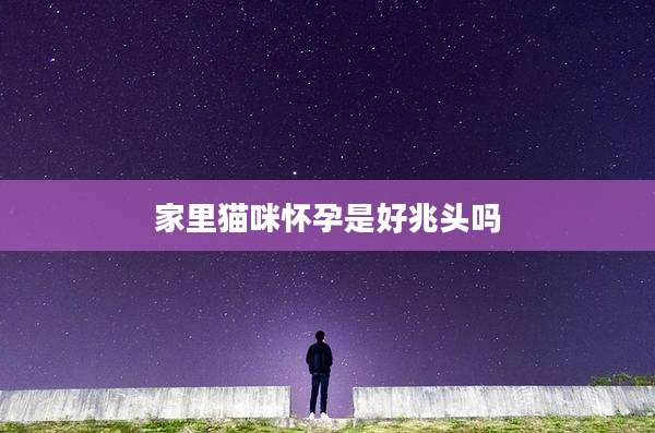 家里猫咪怀孕是好兆头吗