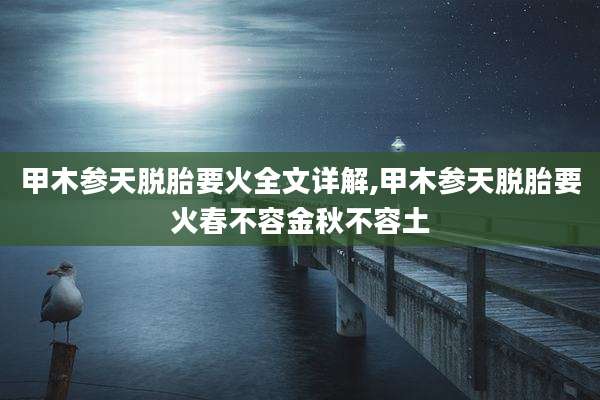 甲木参天脱胎要火全文详解,甲木参天脱胎要火春不容金秋不容土