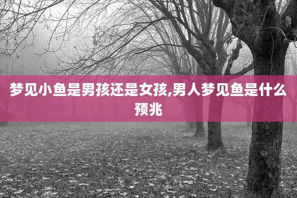 梦见小鱼是男孩还是女孩,男人梦见鱼是什么预兆