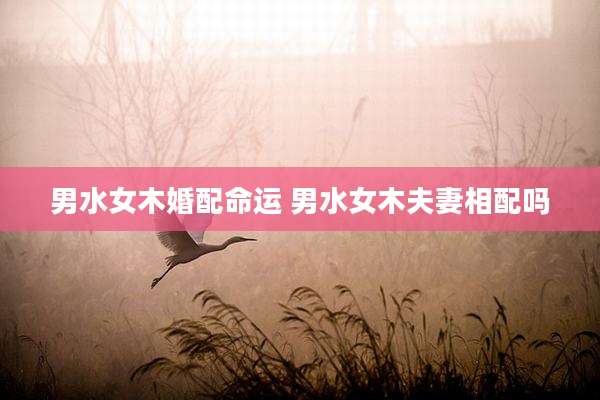 男水女木婚配命运 男水女木夫妻相配吗