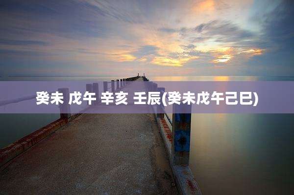 癸未 戊午 辛亥 壬辰(癸未戊午己巳)