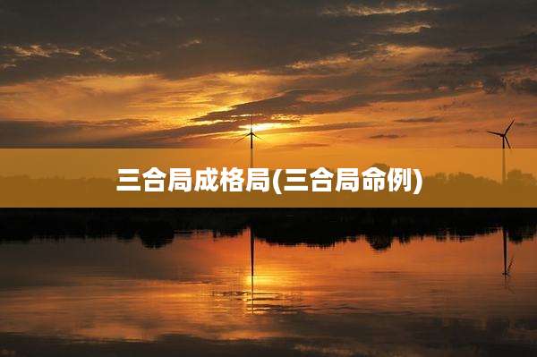三合局成格局(三合局命例)