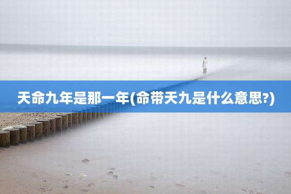 天命九年是那一年(命带天九是什么意思?)